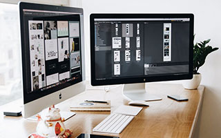 狗狗嘴巴臭怎么办 狗狗口臭很难忍？试试这五招，可以帮你去除狗狗的“毒气”